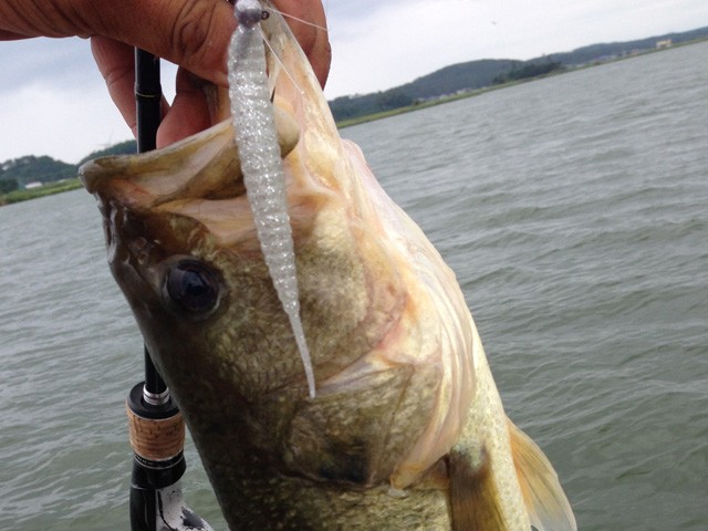 プロショップオオツカ バスフィッシング用品ネット通信販売 ブログ写真 2014/08/24