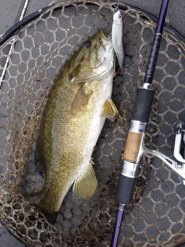 プロショップオオツカ バスフィッシング用品ネット通信販売 ブログ写真 2014/09/11