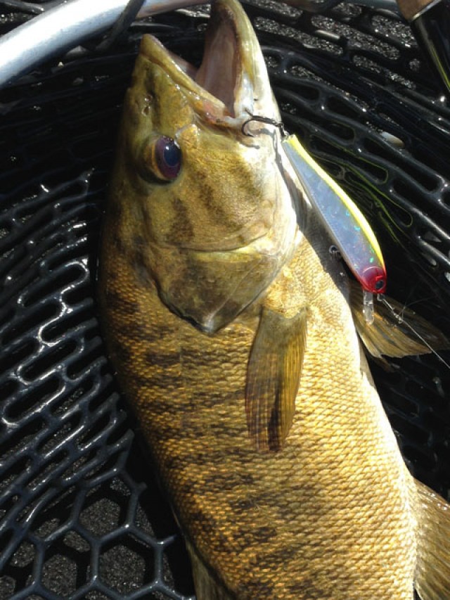 プロショップオオツカ バスフィッシング用品ネット通信販売 ブログ写真 2014/09/11