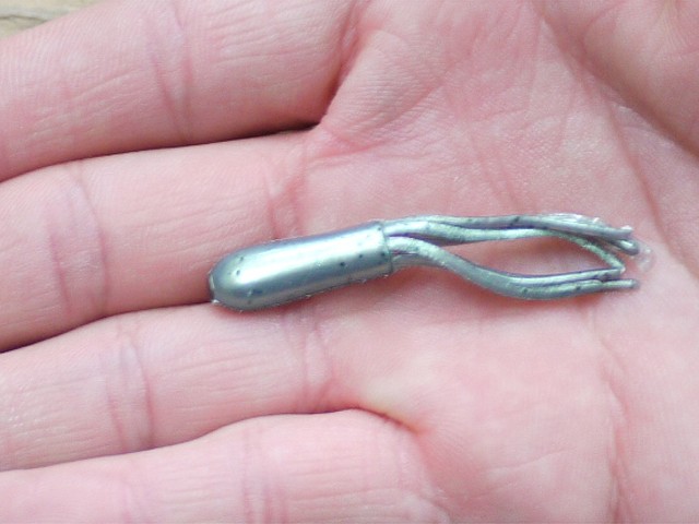 プロショップオオツカ バスフィッシング用品ネット通信販売 ブログ写真 2014/10/09
