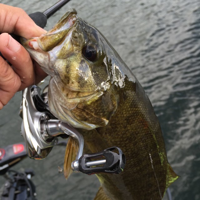 プロショップオオツカ バスフィッシング用品ネット通信販売 ブログ写真 2014/10/13