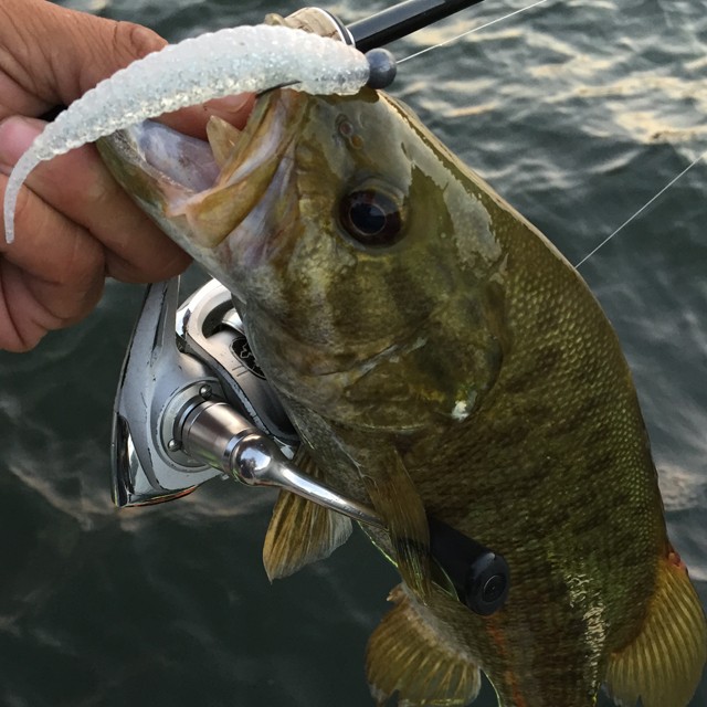 プロショップオオツカ バスフィッシング用品ネット通信販売 ブログ写真 2014/10/13