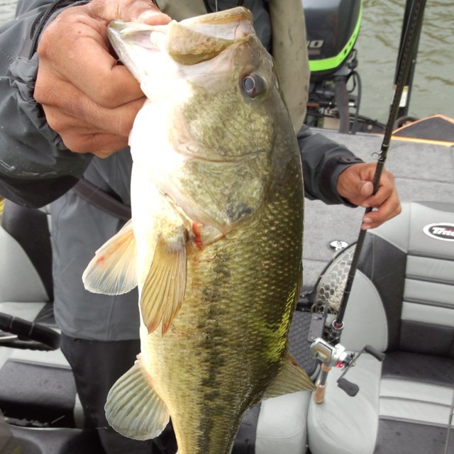 プロショップオオツカ バスフィッシング用品ネット通信販売 ブログ写真 2014/10/13