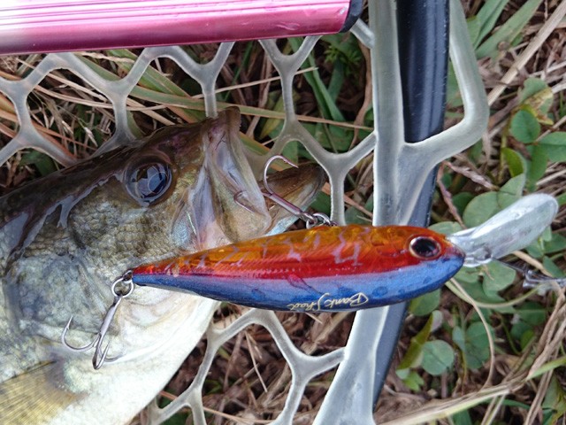 プロショップオオツカ バスフィッシング用品ネット通信販売 ブログ写真 2014/11/02