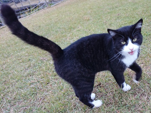 プロショップオオツカ バスフィッシング用品ネット通信販売 ブログ写真 2014/11/02