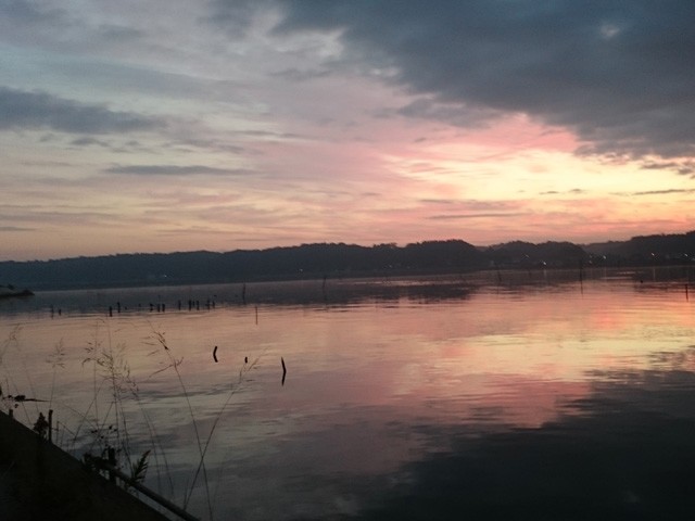 プロショップオオツカ バスフィッシング用品ネット通信販売 ブログ写真 2014/11/02