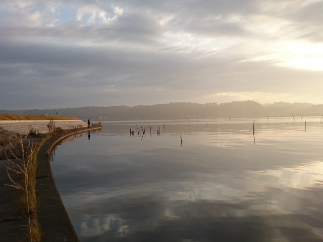 プロショップオオツカ バスフィッシング用品ネット通信販売 ブログ写真 2014/11/02