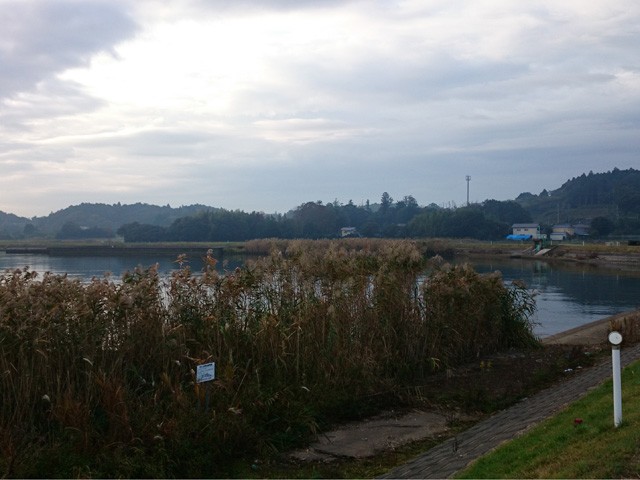 プロショップオオツカ バスフィッシング用品ネット通信販売 ブログ写真 2014/11/02