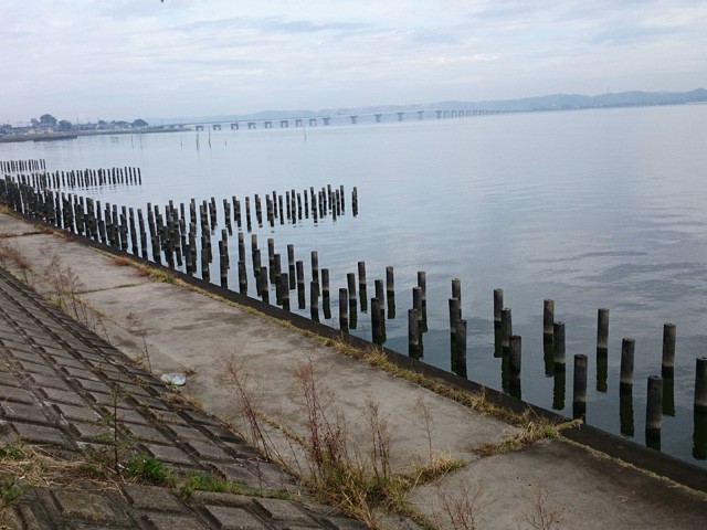 プロショップオオツカ バスフィッシング用品ネット通信販売 ブログ写真 2014/11/02