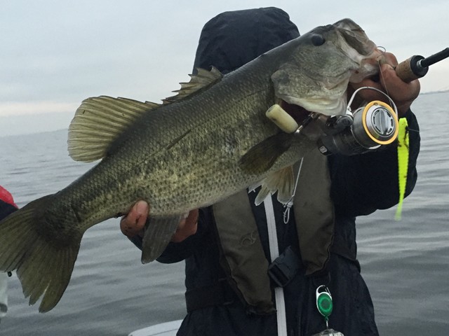 プロショップオオツカ バスフィッシング用品ネット通信販売 ブログ写真 2014/11/14