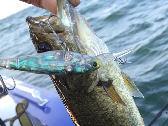 プロショップオオツカ バスフィッシング用品ネット通信販売 ブログ写真 2014/11/14