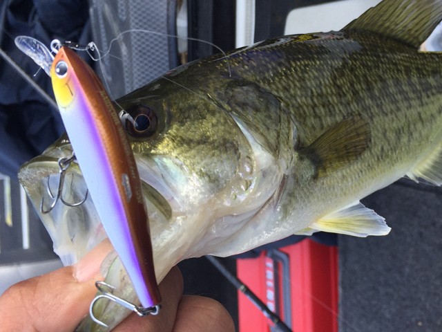 プロショップオオツカ バスフィッシング用品ネット通信販売 ブログ写真 2014/11/14