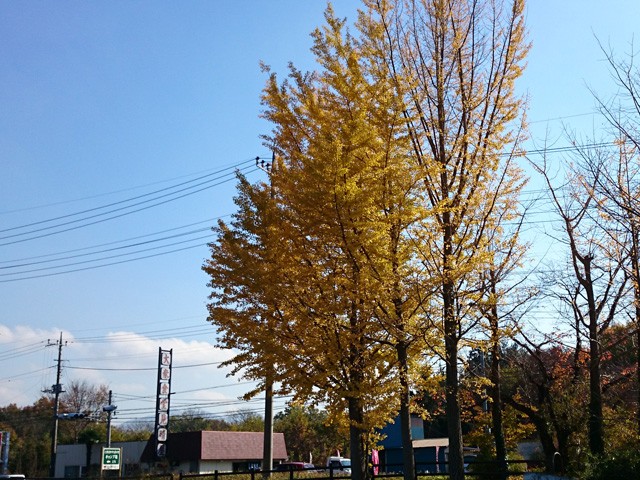 プロショップオオツカ バスフィッシング用品ネット通信販売 ブログ写真 2014/11/22