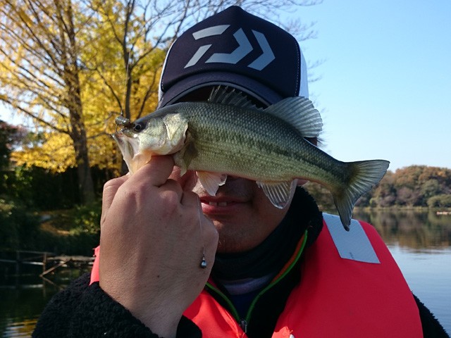 プロショップオオツカ バスフィッシング用品ネット通信販売 ブログ写真 2014/11/22