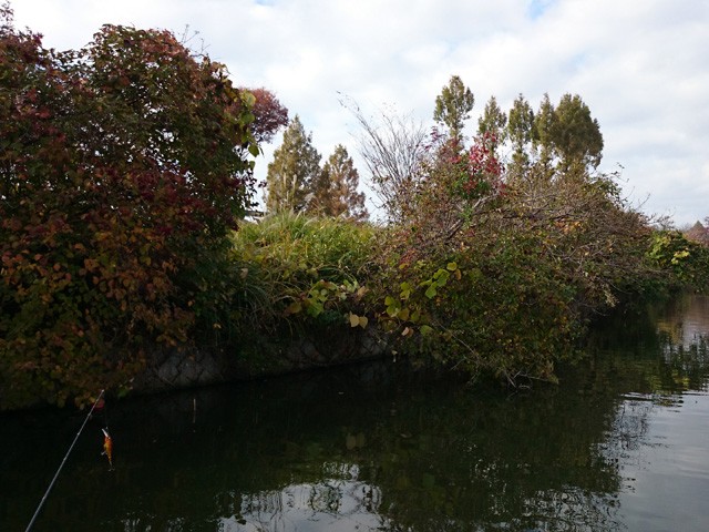 プロショップオオツカ バスフィッシング用品ネット通信販売 ブログ写真 2014/11/22