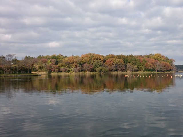 プロショップオオツカ バスフィッシング用品ネット通信販売 ブログ写真 2014/11/22