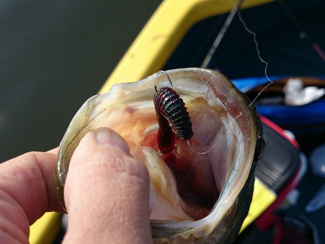 プロショップオオツカ バスフィッシング用品ネット通信販売 ブログ写真 2014/11/22