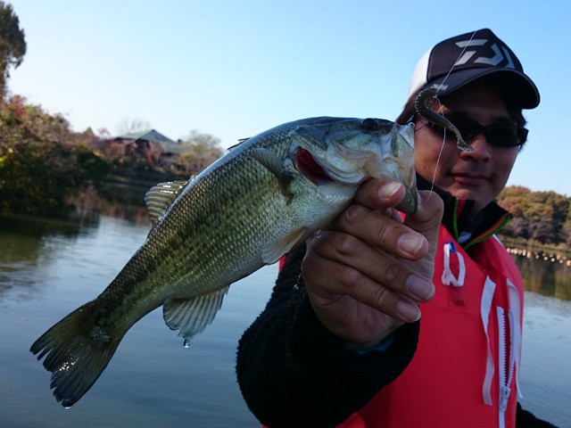 プロショップオオツカ バスフィッシング用品ネット通信販売 ブログ写真 2014/11/22