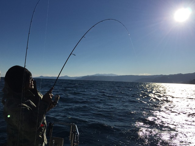 プロショップオオツカ バスフィッシング用品ネット通信販売 ブログ写真 2014/12/23