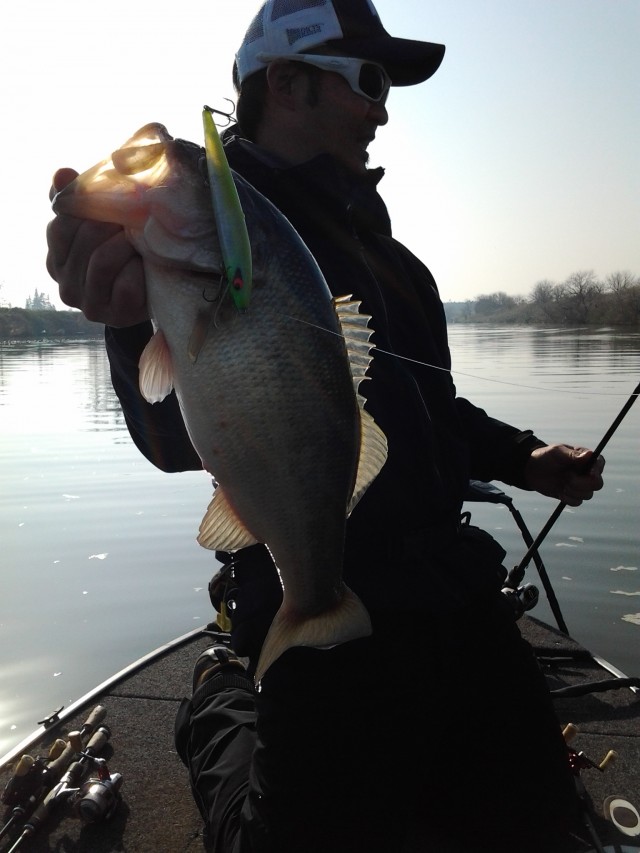 プロショップオオツカ バスフィッシング用品ネット通信販売 ブログ写真 2015/03/19