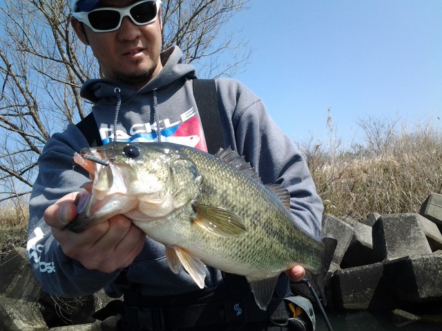 プロショップオオツカ バスフィッシング用品ネット通信販売 ブログ写真 2015/03/19