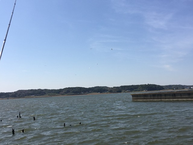 プロショップオオツカ バスフィッシング用品ネット通信販売 ブログ写真 2015/04/01