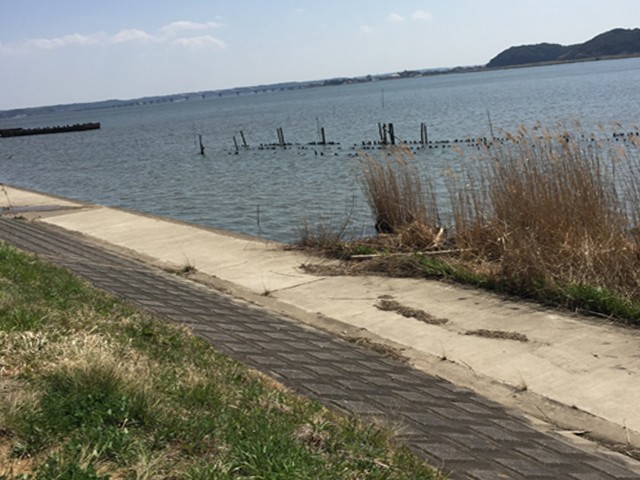 プロショップオオツカ バスフィッシング用品ネット通信販売 ブログ写真 2015/04/01