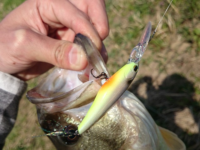 プロショップオオツカ バスフィッシング用品ネット通信販売 ブログ写真 2015/04/02