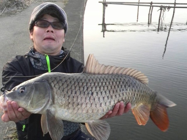 プロショップオオツカ バスフィッシング用品ネット通信販売 ブログ写真 2015/04/02