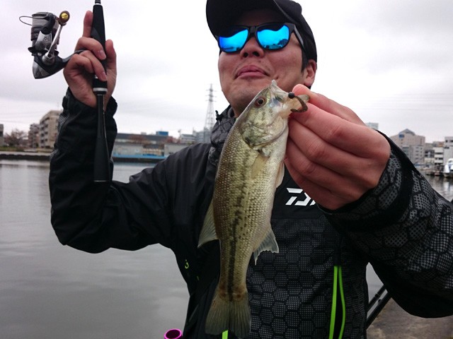 プロショップオオツカ バスフィッシング用品ネット通信販売 ブログ写真 2015/04/17