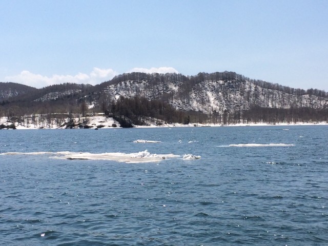 プロショップオオツカ バスフィッシング用品ネット通信販売 ブログ写真 2015/04/27