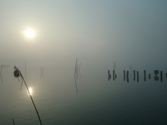 プロショップオオツカ バスフィッシング用品ネット通信販売 ブログ写真 2015/05/02