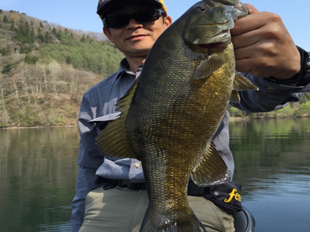 プロショップオオツカ バスフィッシング用品ネット通信販売 ブログ写真 2015/05/03