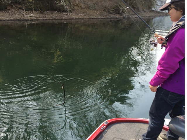 プロショップオオツカ バスフィッシング用品ネット通信販売 ブログ写真 2015/05/03