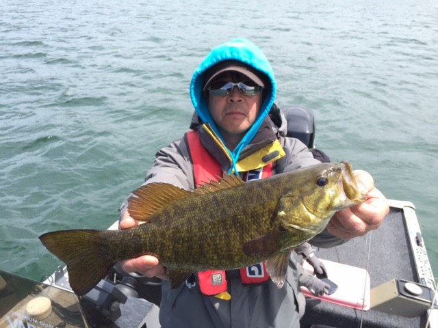 プロショップオオツカ バスフィッシング用品ネット通信販売 ブログ写真 2015/05/09