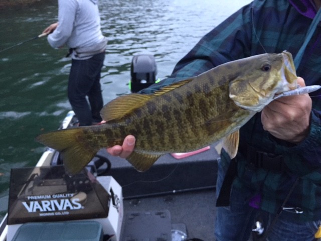 プロショップオオツカ バスフィッシング用品ネット通信販売 ブログ写真 2015/05/09