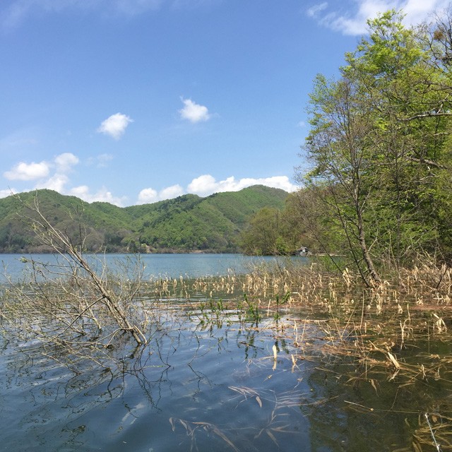 プロショップオオツカ バスフィッシング用品ネット通信販売 ブログ写真 2015/05/10