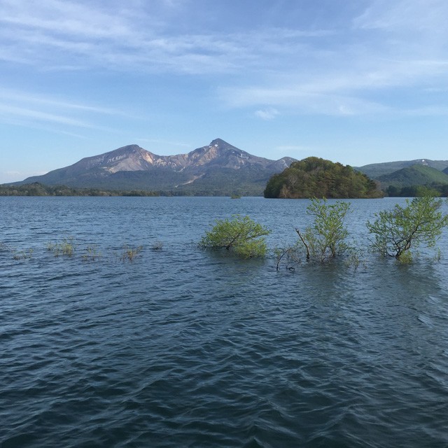 プロショップオオツカ バスフィッシング用品ネット通信販売 ブログ写真 2015/05/10