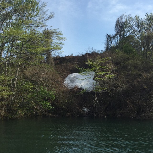 プロショップオオツカ バスフィッシング用品ネット通信販売 ブログ写真 2015/05/10