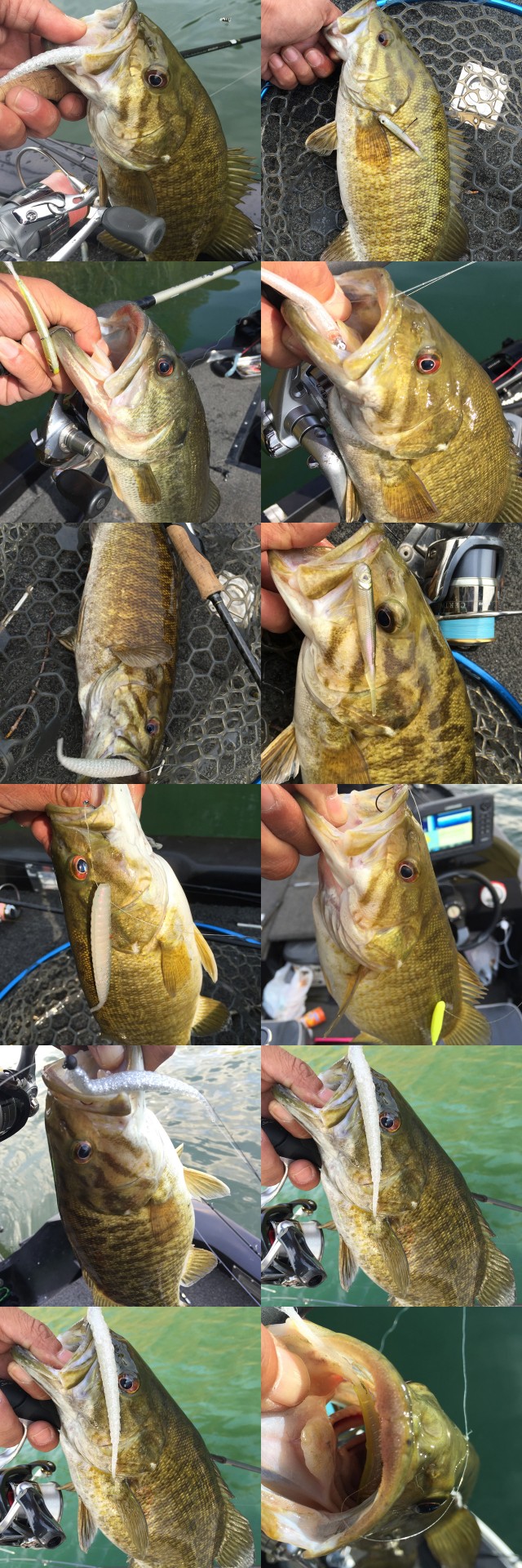 プロショップオオツカ バスフィッシング用品ネット通信販売 ブログ写真 2015/05/10