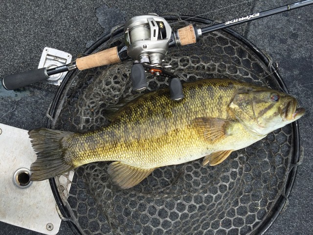 プロショップオオツカ バスフィッシング用品ネット通信販売 ブログ写真 2015/05/14