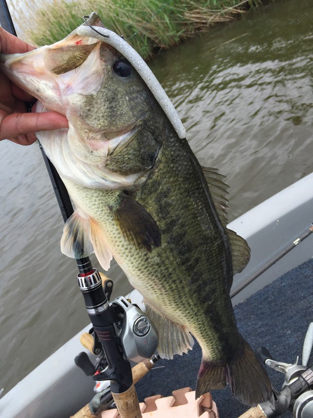 プロショップオオツカ バスフィッシング用品ネット通信販売 ブログ写真 2015/05/21