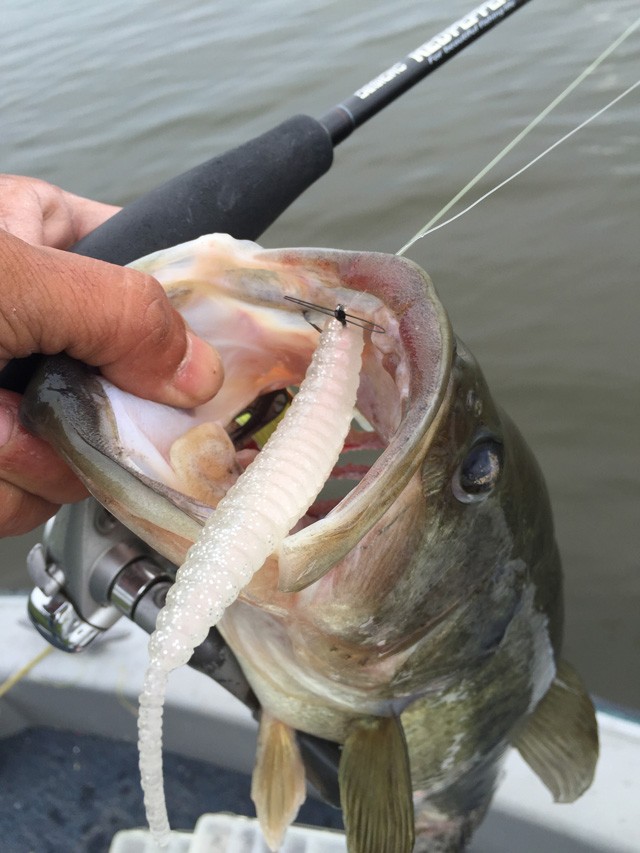 プロショップオオツカ バスフィッシング用品ネット通信販売 ブログ写真 2015/05/21