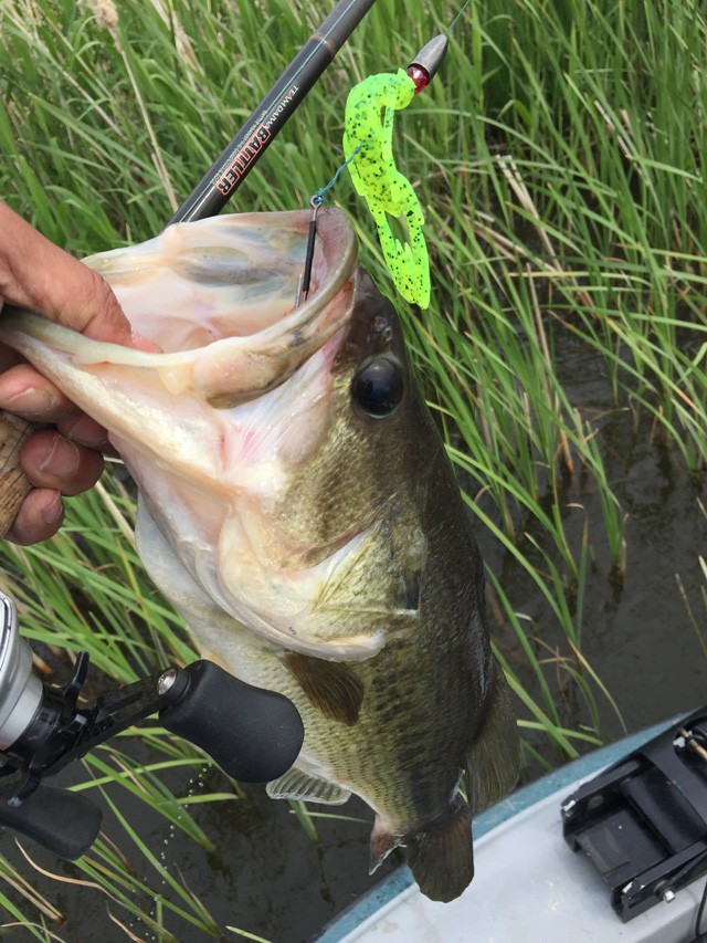 プロショップオオツカ バスフィッシング用品ネット通信販売 ブログ写真 2015/05/21