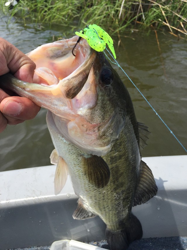 プロショップオオツカ バスフィッシング用品ネット通信販売 ブログ写真 2015/05/21