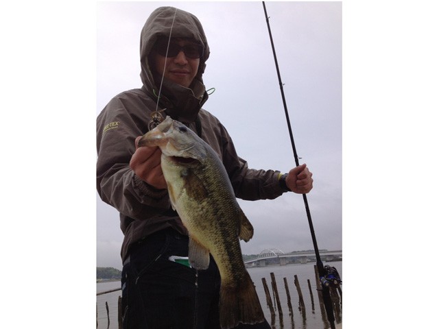 プロショップオオツカ バスフィッシング用品ネット通信販売 ブログ写真 2015/05/23