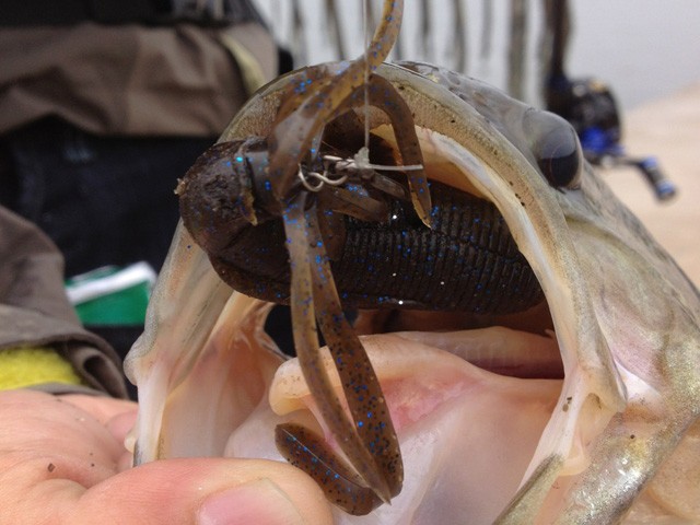 プロショップオオツカ バスフィッシング用品ネット通信販売 ブログ写真 2015/05/23