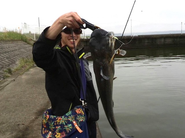 プロショップオオツカ バスフィッシング用品ネット通信販売 ブログ写真 2015/05/23