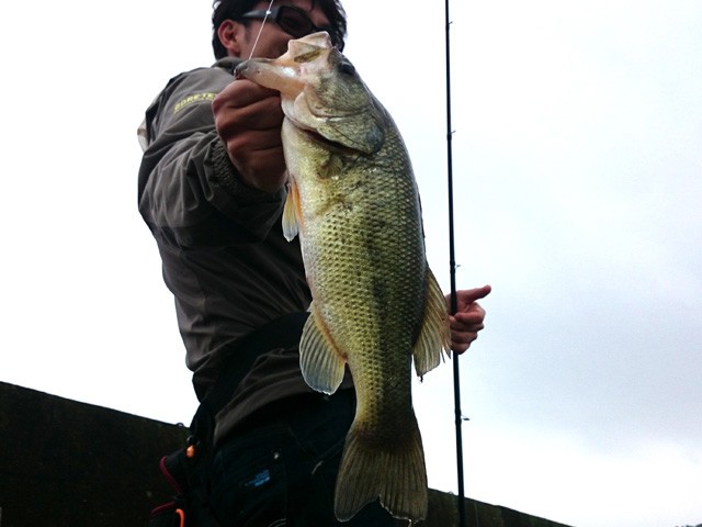 プロショップオオツカ バスフィッシング用品ネット通信販売 ブログ写真 2015/05/23