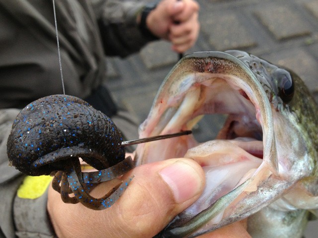 プロショップオオツカ バスフィッシング用品ネット通信販売 ブログ写真 2015/05/23